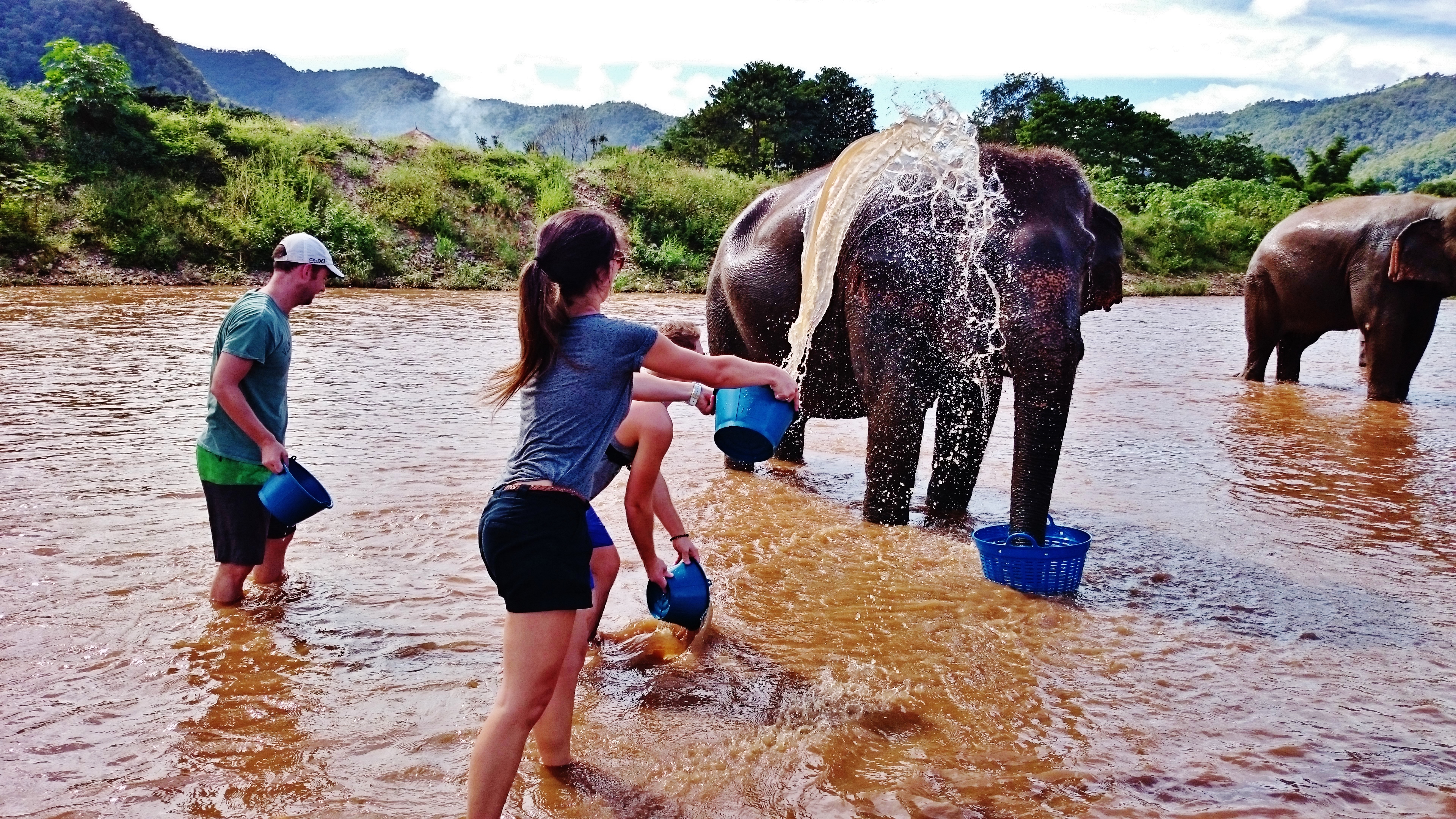 Laver et donner de l’amour aux éléphants