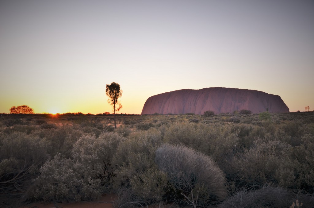 Levé de soleil en plein désert australien à Uluru