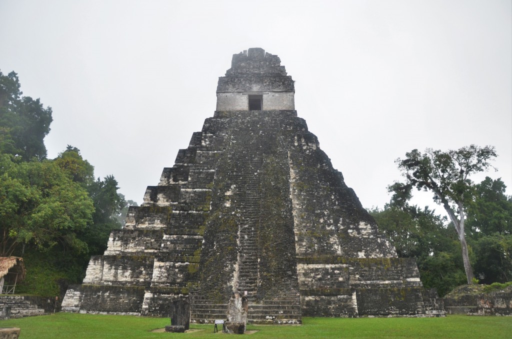La beauté dans les vestiges de la civilisation maya à Tikal au Guatemala