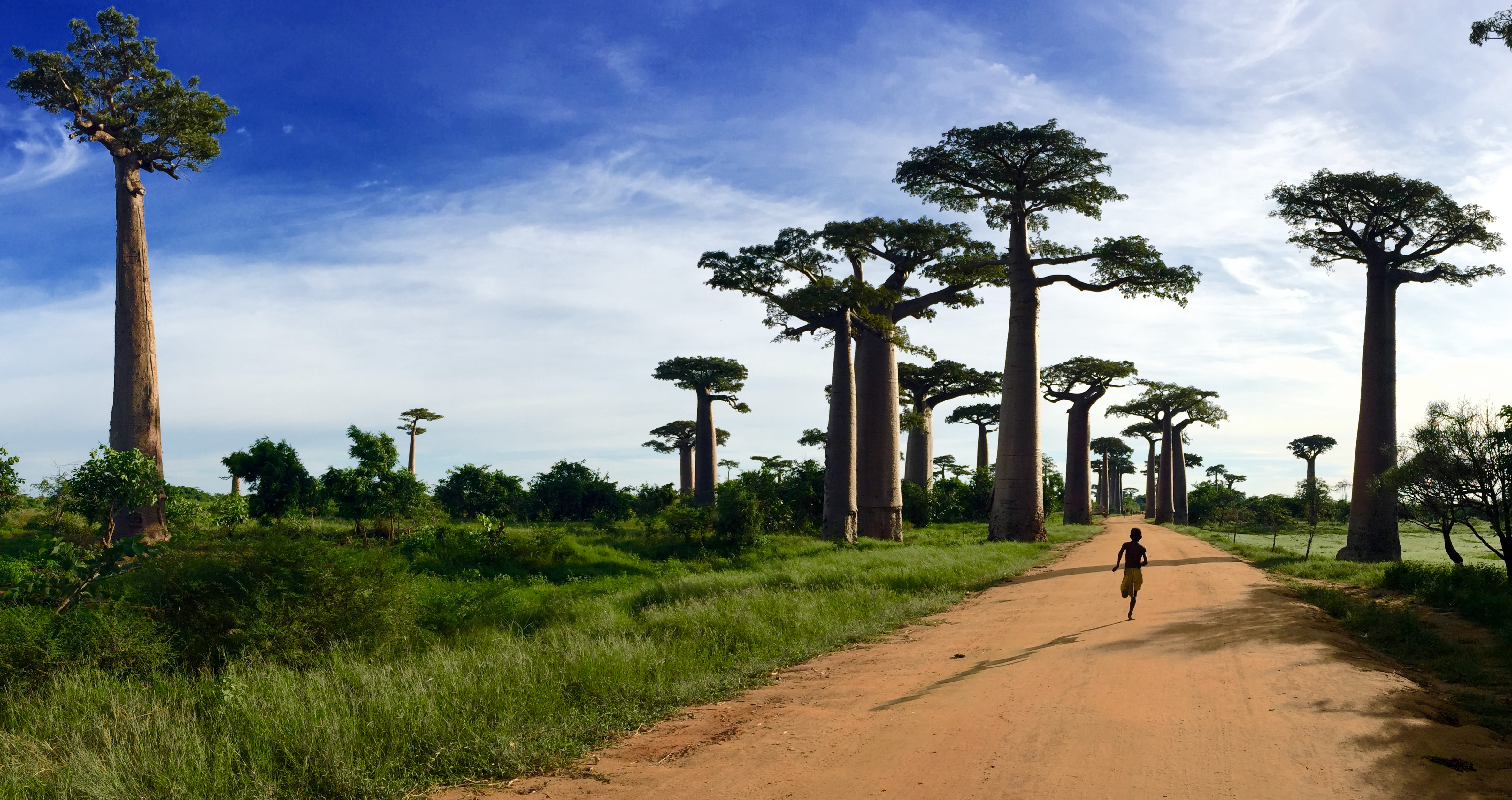 Madagascar, au pays des baobabs : centre-sud