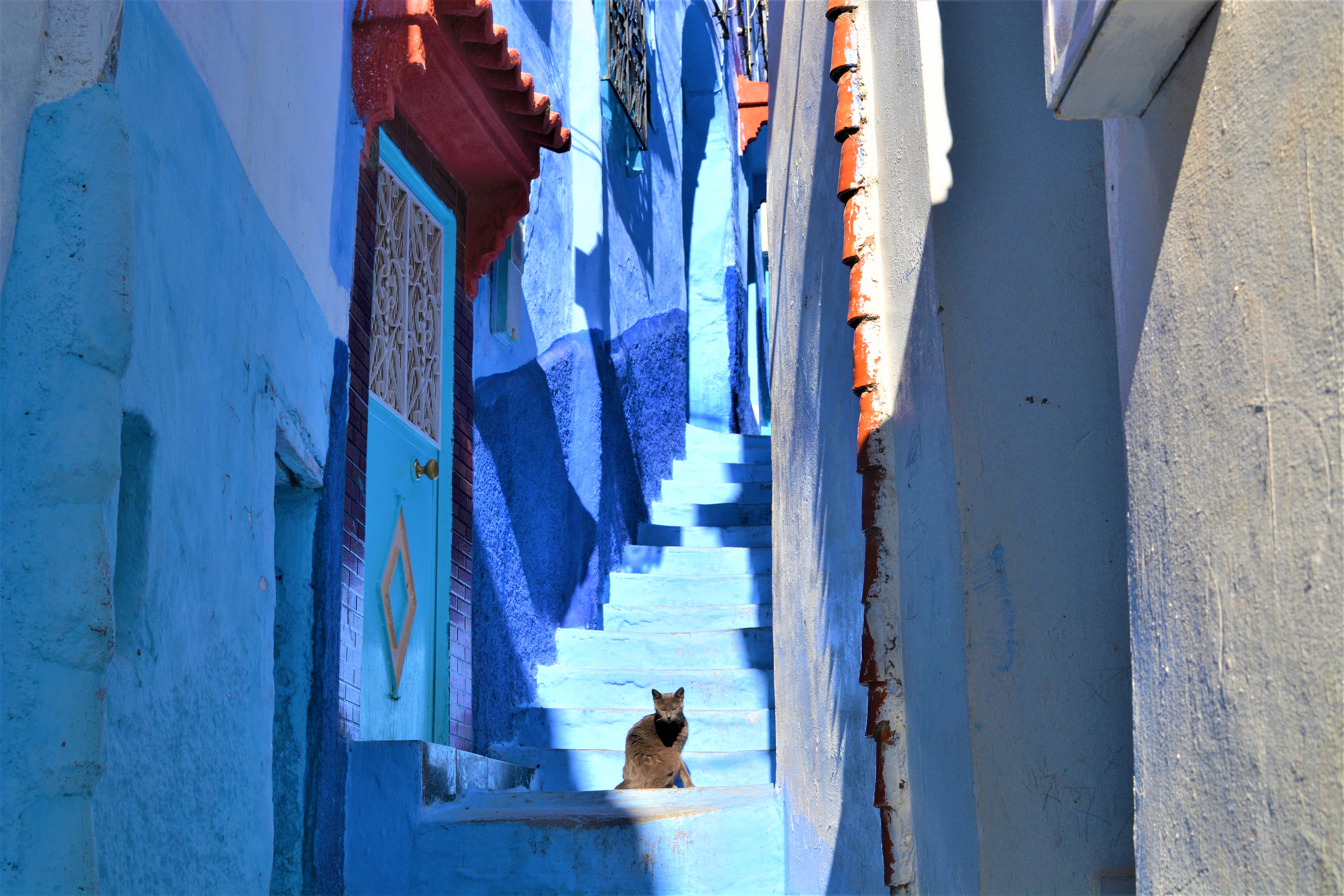 Chefchaouen : la ville bleue du Maroc
