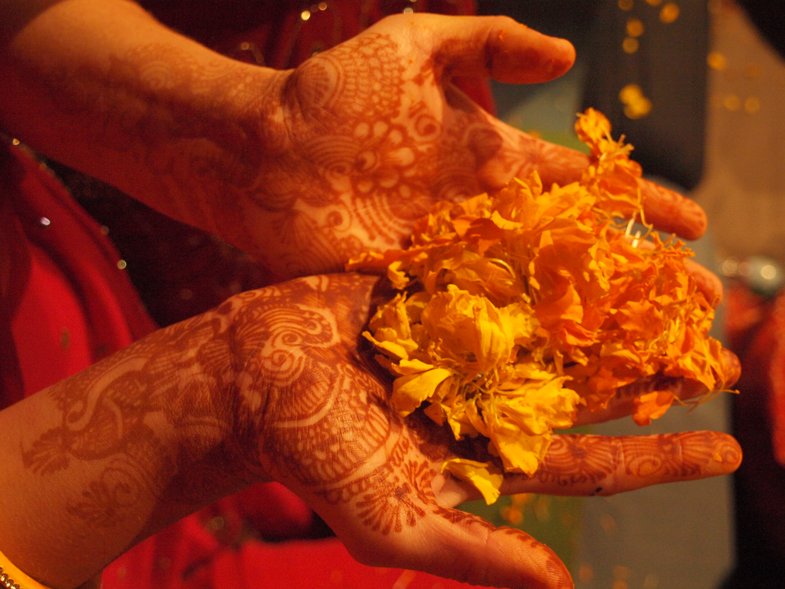 Au cœur d’un mariage indien