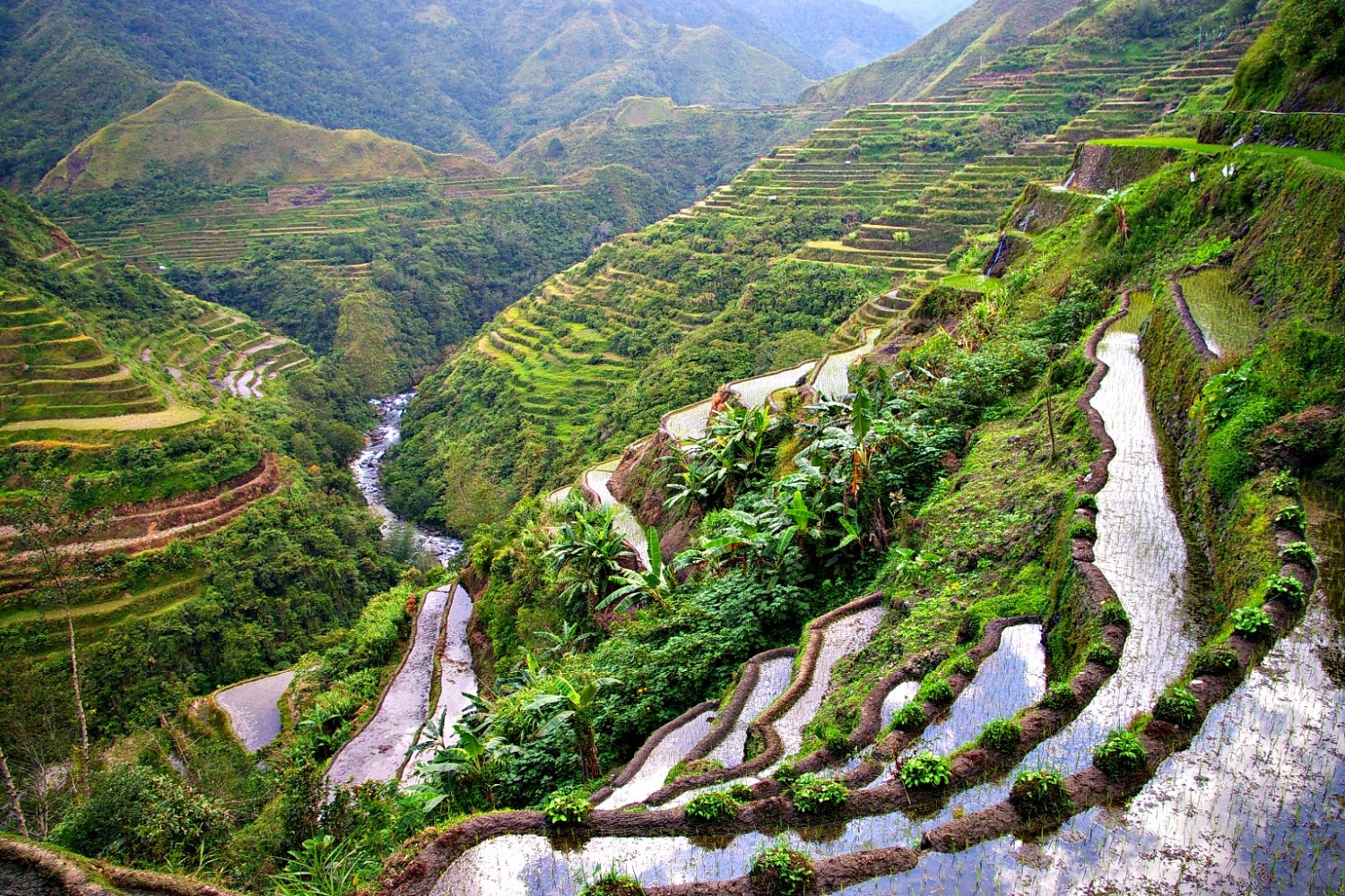Trek Au Milieu Des Rizi res En Terrasse Aux Philippines Nomade trek-au-milieu-des-rizi-res-en-terrasse-aux-philippines-nomade