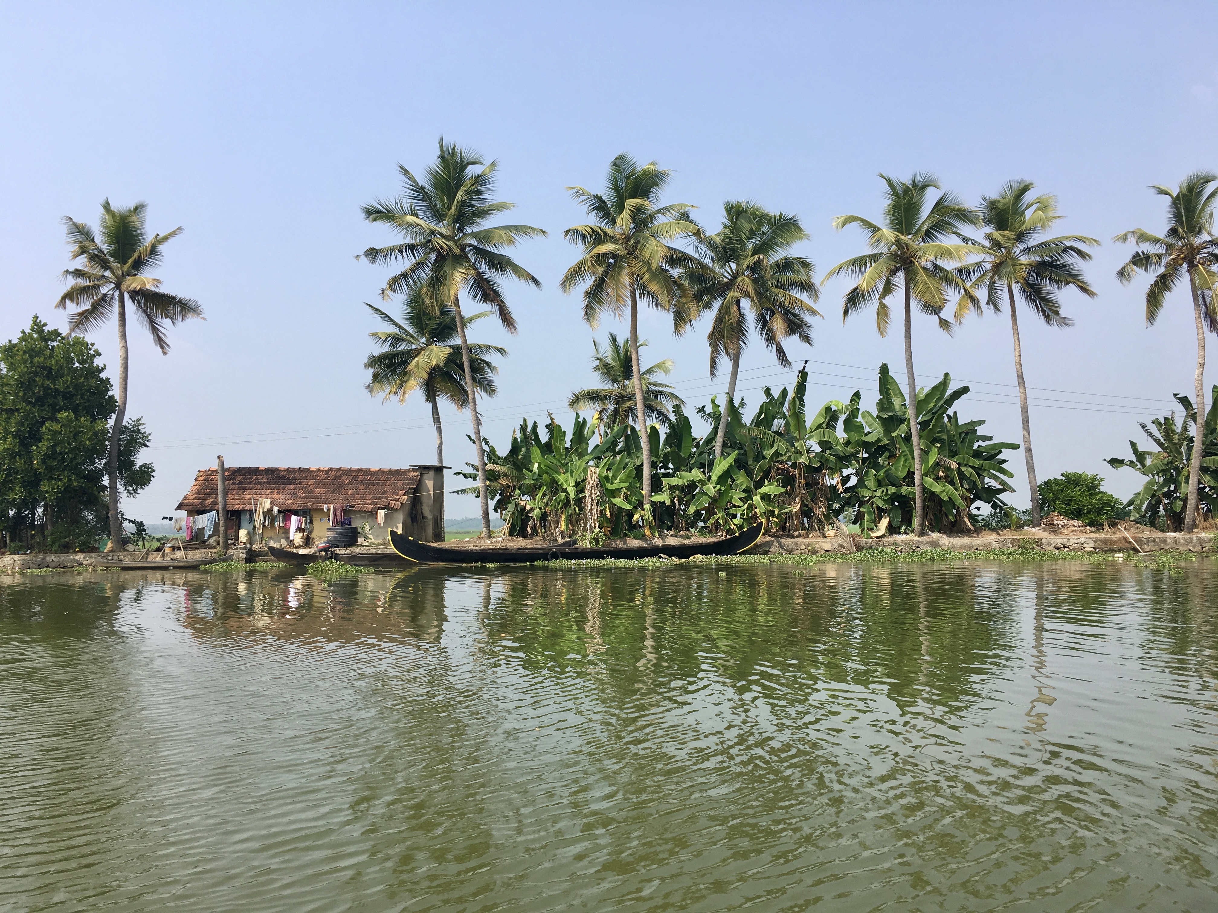 Le Kerala, ou le paradis en Inde