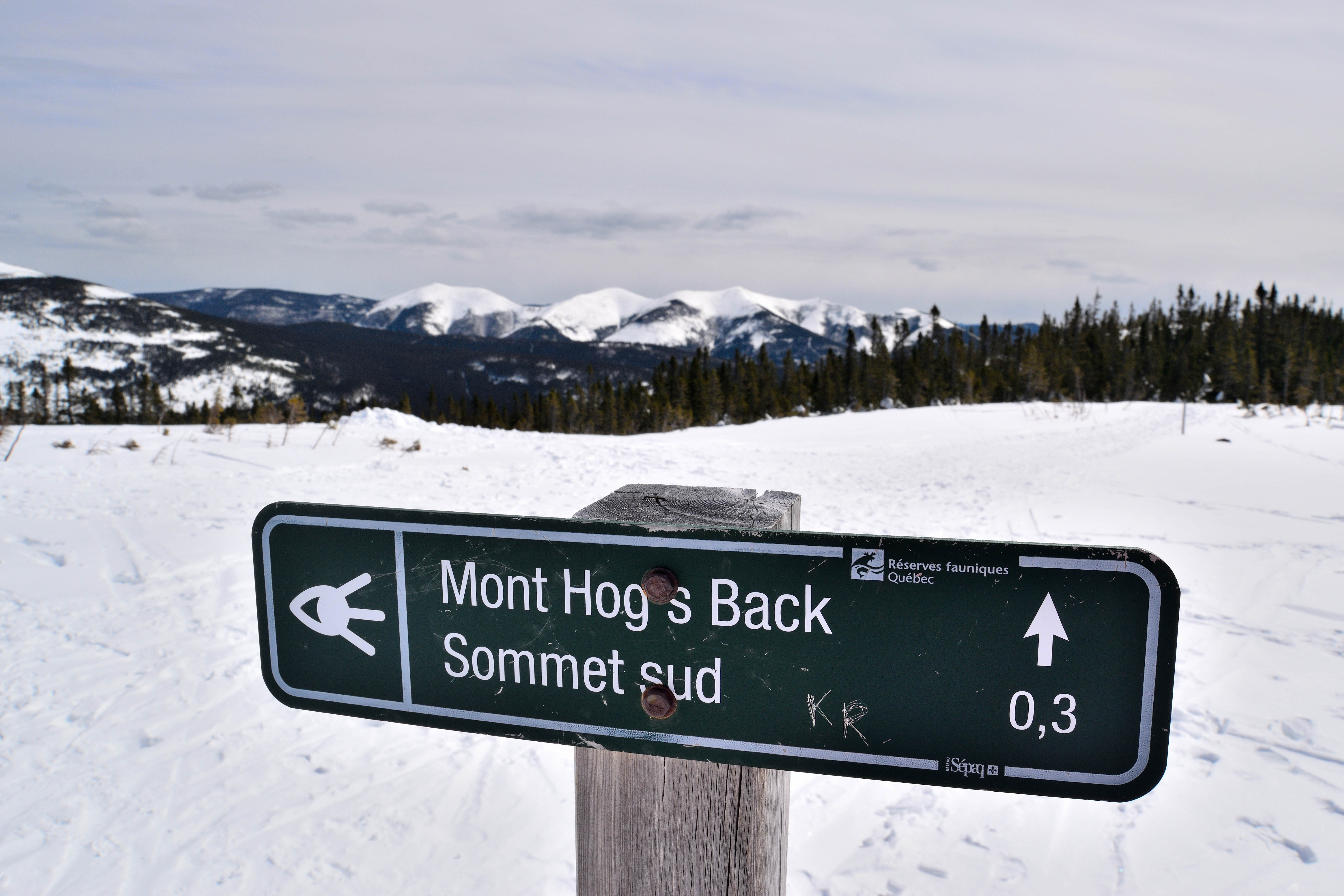 Sommet du Mont Hog's Back