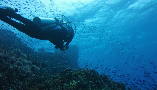 Où plonger sur la Grande Barrière de corail?
