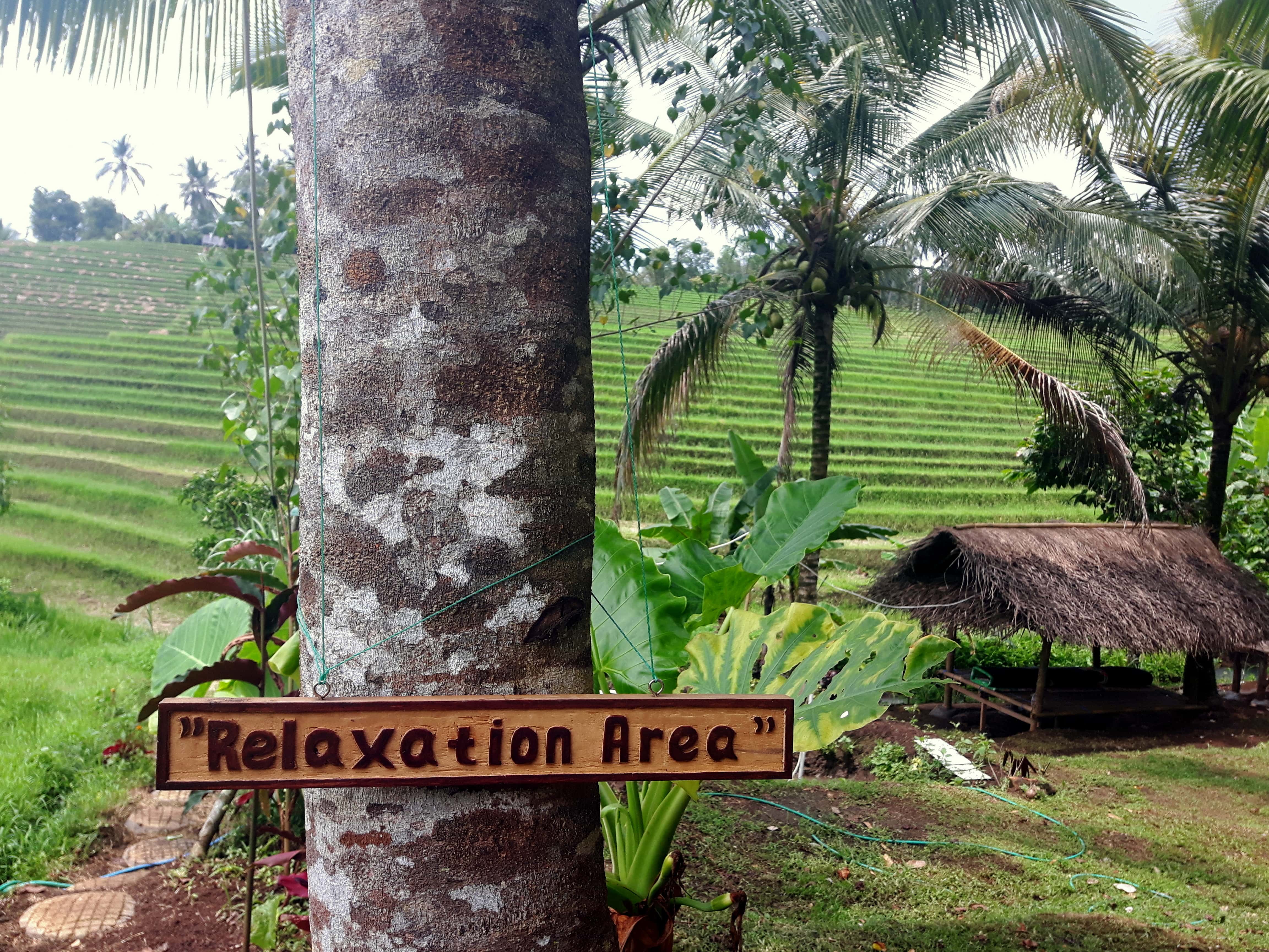 Retraite de yoga à Bali: l’expérience qui a changé ma vie