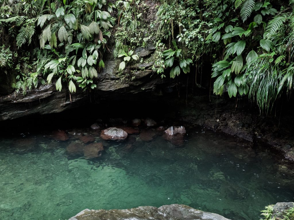 bassin paradise, guadeloupe