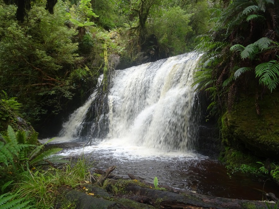 Cascades de Waipohatu - Nouvelle Zélande