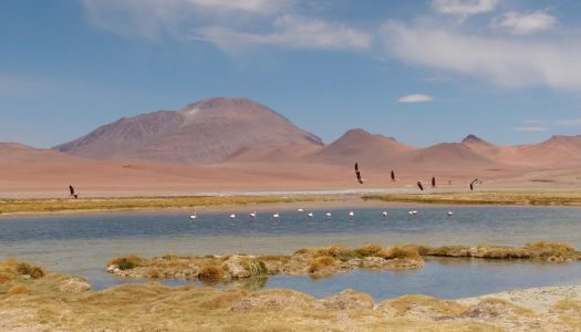 Notre coup de coeur du Chili: le désert d’Atacama