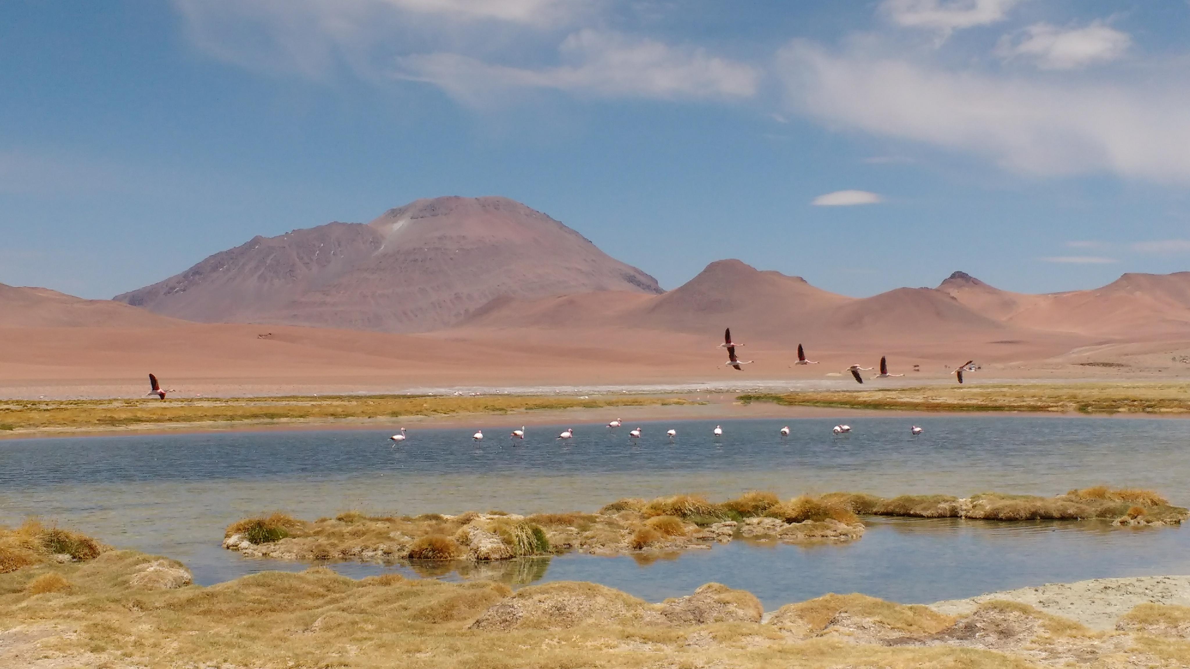 Notre coup de coeur du Chili: le désert d’Atacama