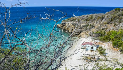 5 raisons de choisir Curaçao comme prochaine destination