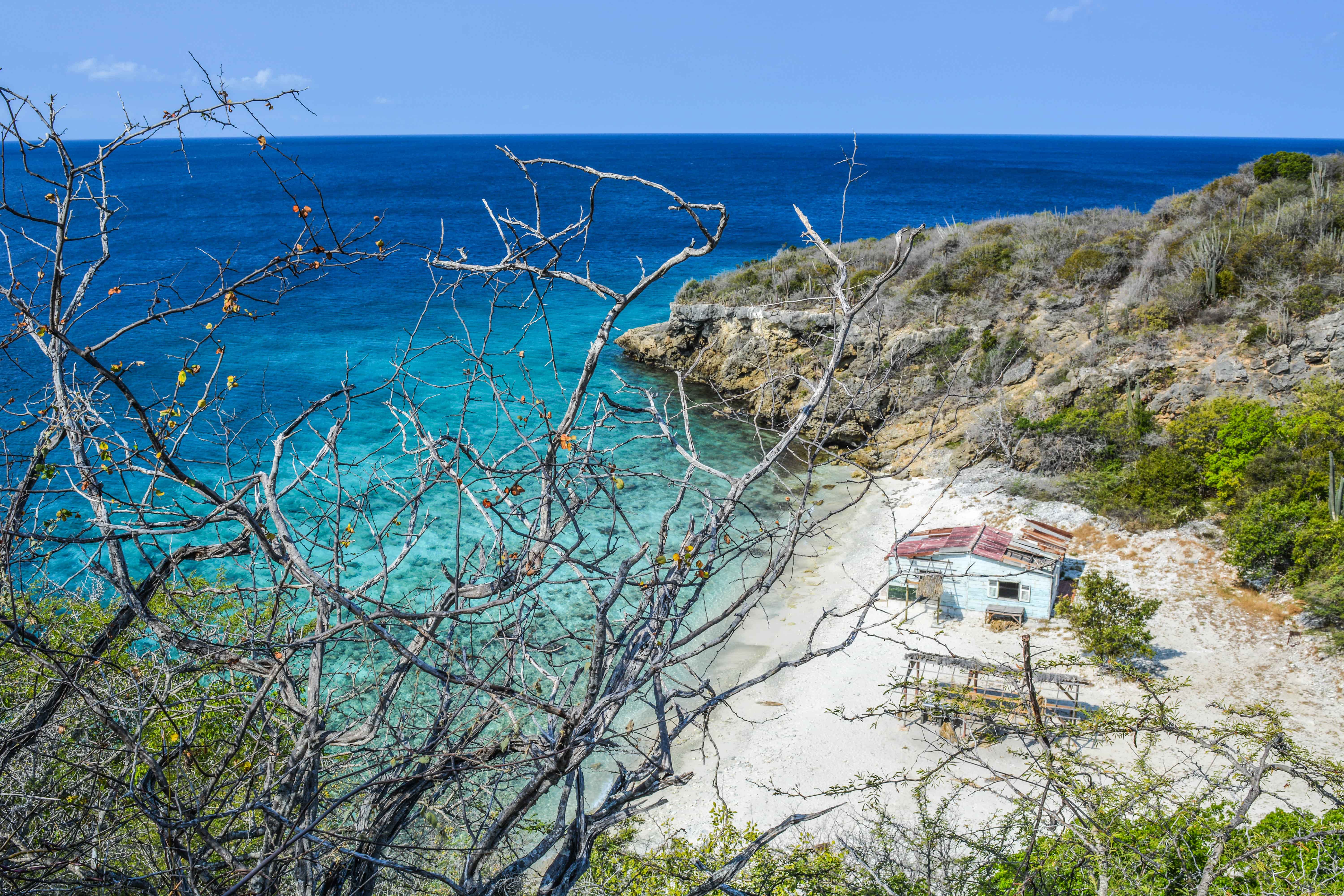 L’île de Curaçao : 5 raisons de visiter cette destination