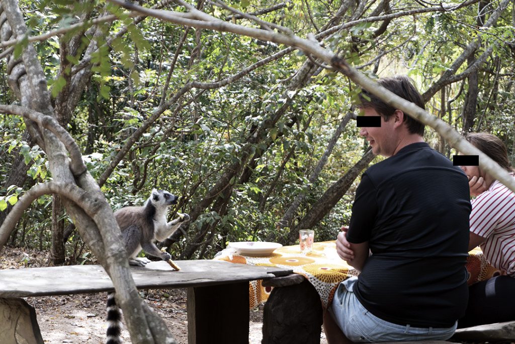 Touristes nourrissant un lémurien ~ Madagascar