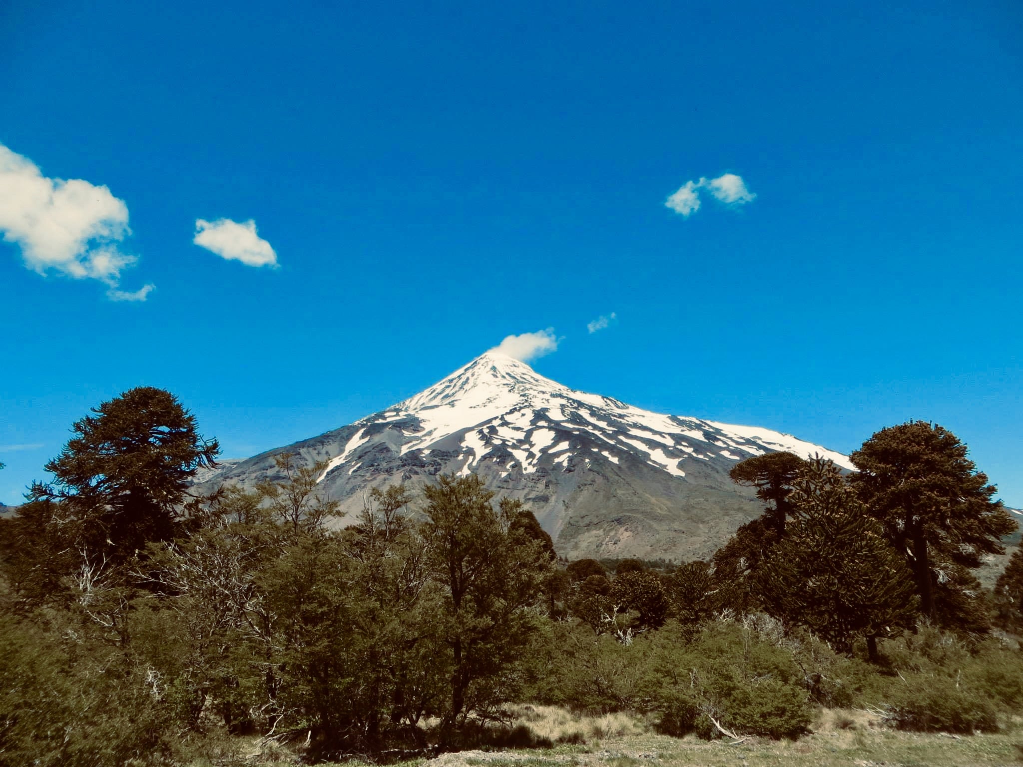 Chili : et si on faisait un petit tour en Araucanie?