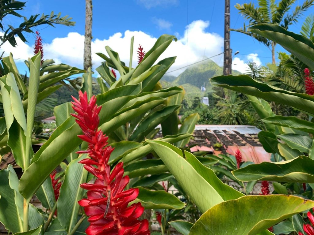 Les Jardins de Balata, Martinique