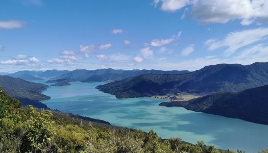 Te Araroa trail: 3000 km à pied à travers la Nouvelle-Zélande