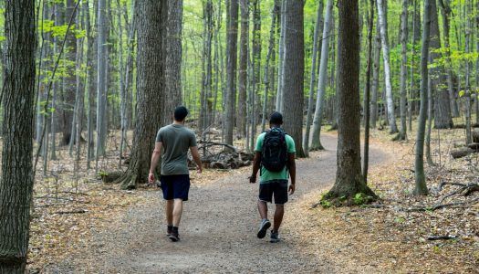 Parc national du Mont-Saint-Bruno: randonnée pour toute la famille