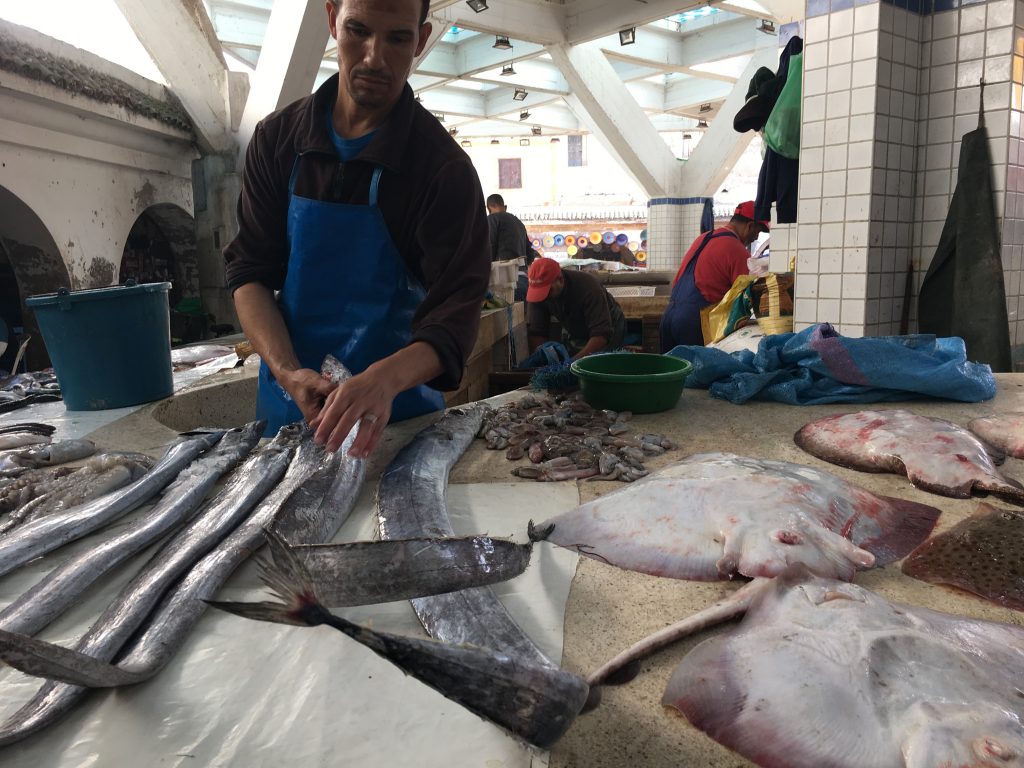 pêche Essaouira