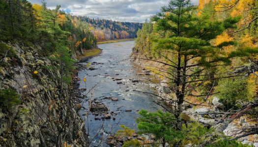 6 sentiers de longue randonnée au Nouveau-Brunswick