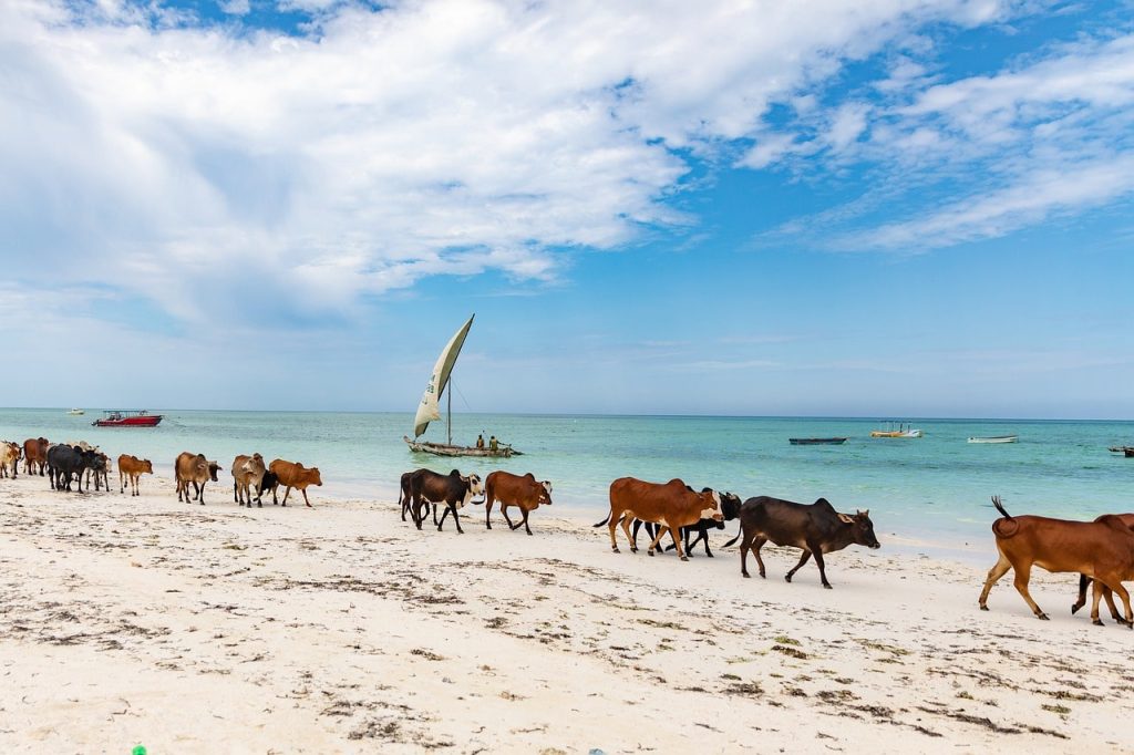 plage de Zanzibar
