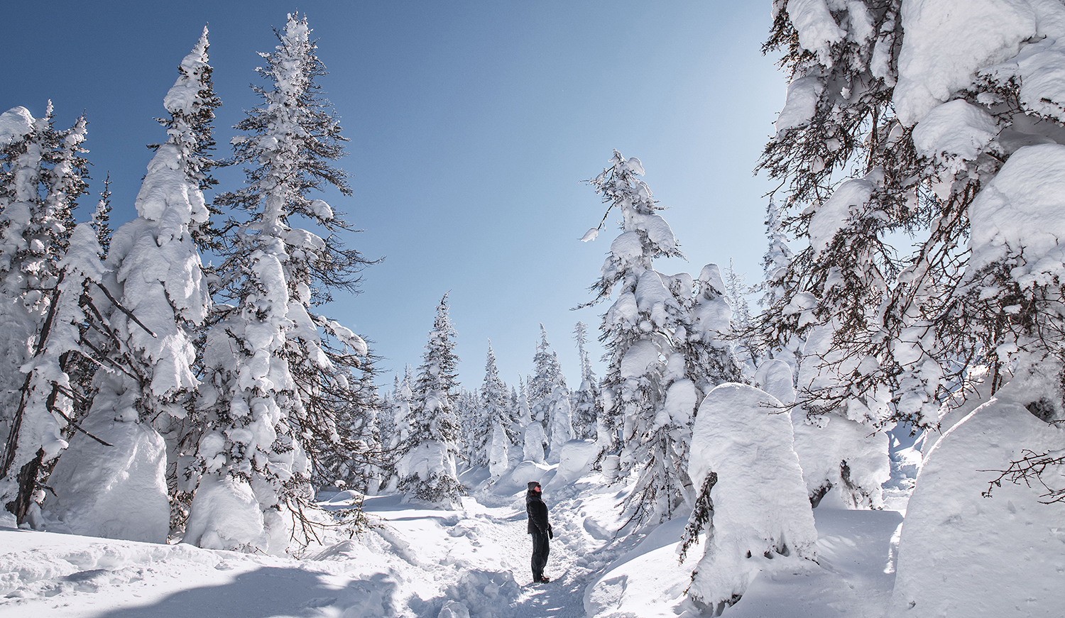 5 randonnées hivernales près de Québec qui vont te réconcilier avec l’hiver