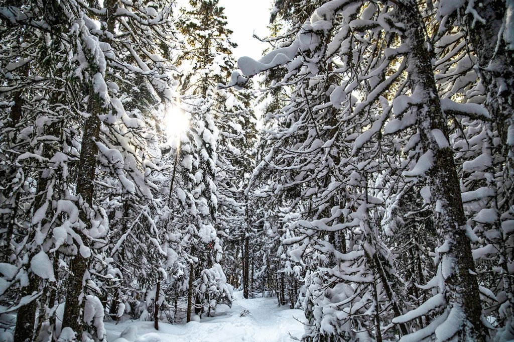 Sentier du Camp Mercier, belle randonnée hivernale près de Québec