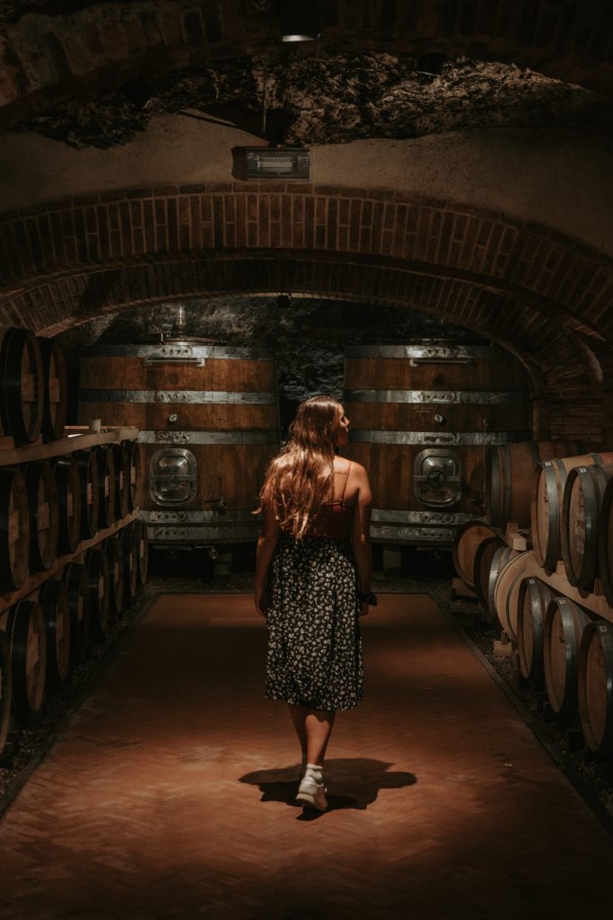Visite d'un vignoble de la Toscane