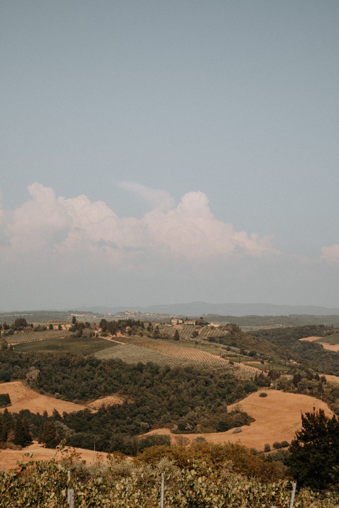 Les vignobles de la Toscane, incontournable d'un itinéraire d'un mois en Italie
