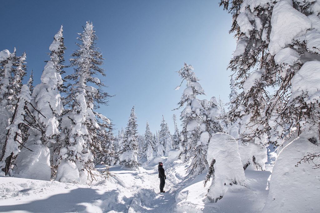 La vallée des Fantômes en hiver, parmi les plus belles randonnées hivernales près de Québec