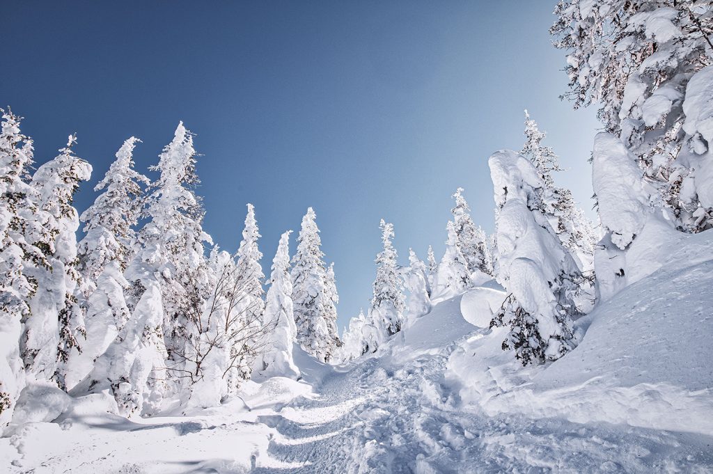 Paysage enneigé que l'on peut apercevoir lors de randonnées hivernales près de Québec