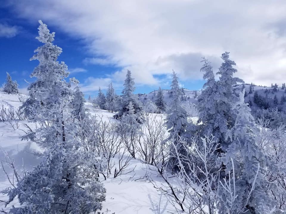 Mont-Ham en hiver