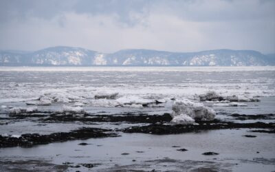 Escapade dans le Bas-Saint-Laurent en hiver