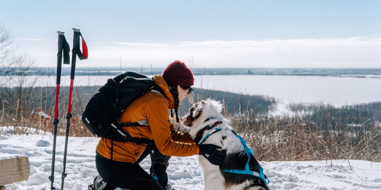 Séjour hivernal dans les Laurentides avec son chien