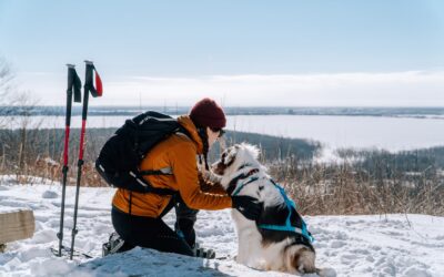 Séjour hivernal dans les Laurentides avec son chien