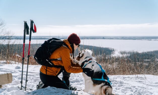 Séjour hivernal dans les Laurentides avec son chien