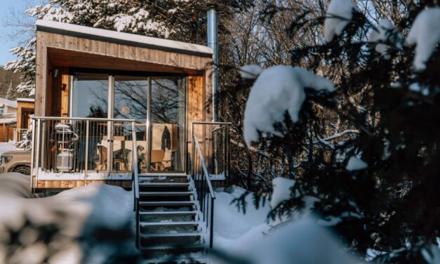 4 hébergements dog friendly à essayer l’hiver au Québec