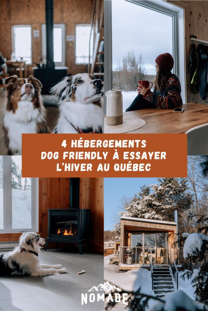hébergements dog friendly au Québec