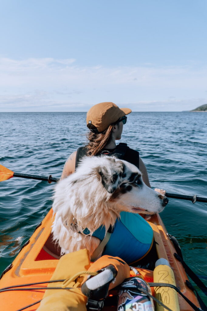 expédition en kayak avec Attitude Nordique sur la Côte-Nord