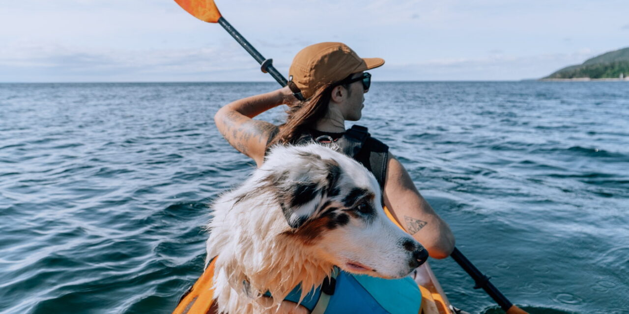 Itinéraire dog-friendly pour un road trip sur la Côte-Nord avec son chien