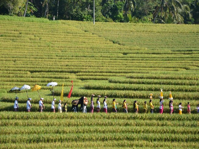 retraite de yoga Sesandan à Bali