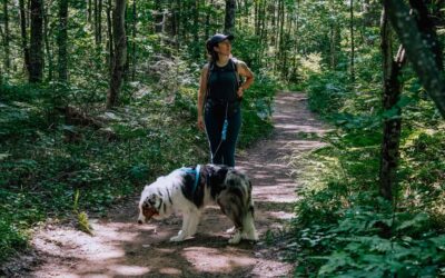 Explorer le Centre-du-Québec avec son chien