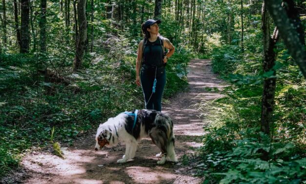 Explorer le Centre-du-Québec avec son chien