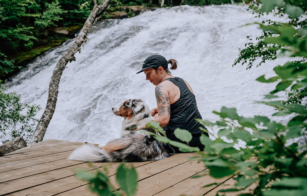 Explorer les Hautes-Laurentides avec son chien