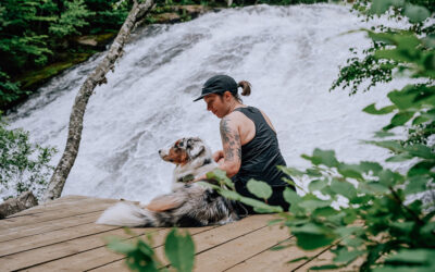 Explorer les Hautes-Laurentides avec son chien