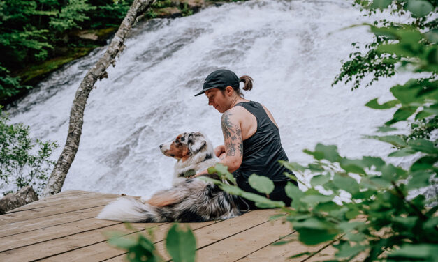 Explorer les Hautes-Laurentides avec son chien