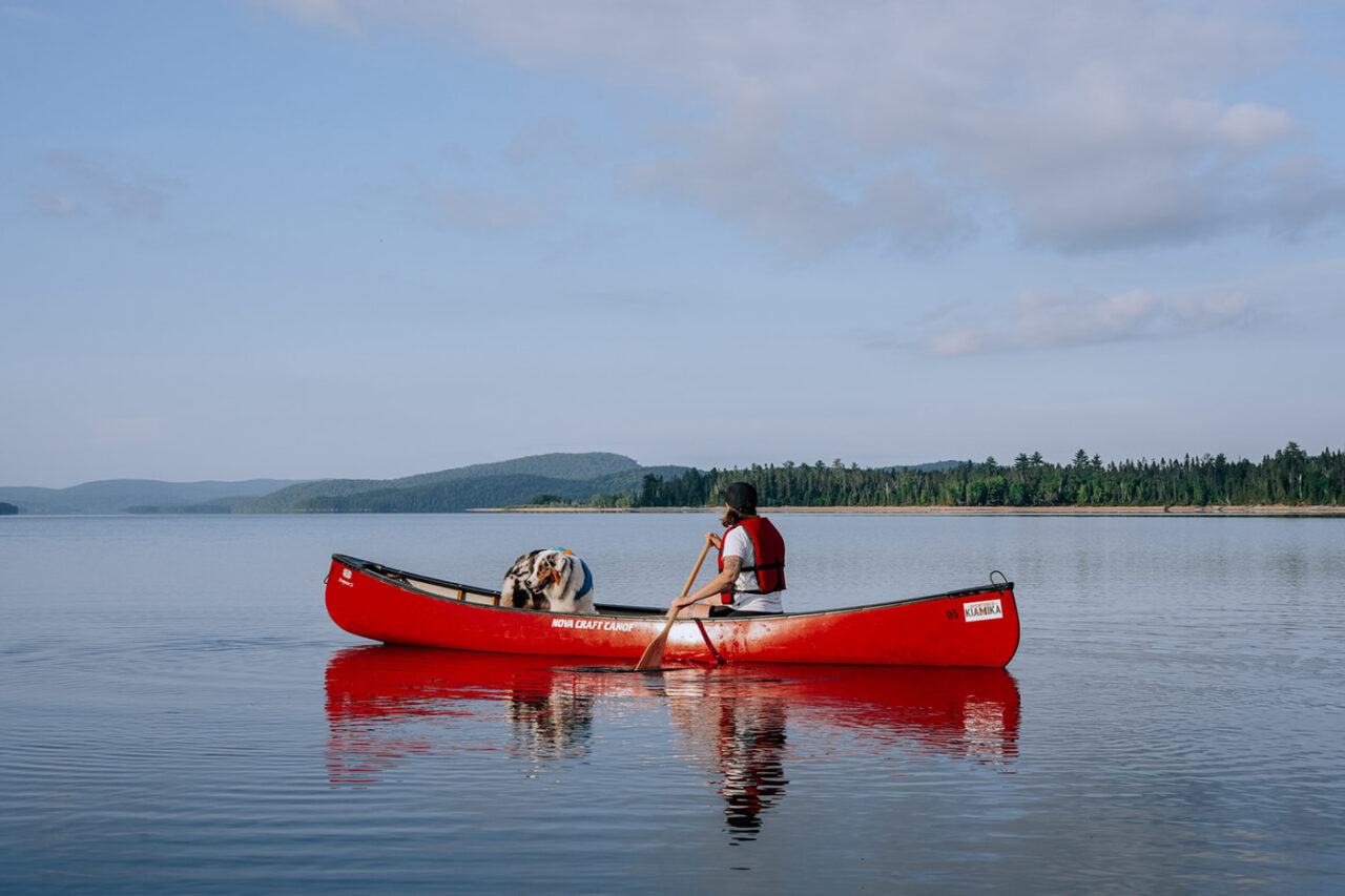 Canot avec son chien chez Aventures Kiamika dans les Hautes-Laurentides