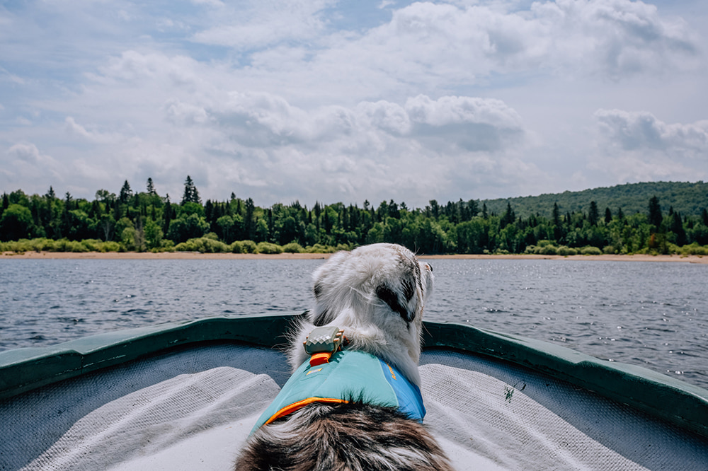 Parc régional Kiamika dans les Hautes-Laurentides