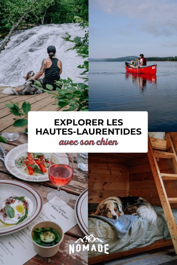 Quoi faire avec son chien dans les Hautes-Laurentides