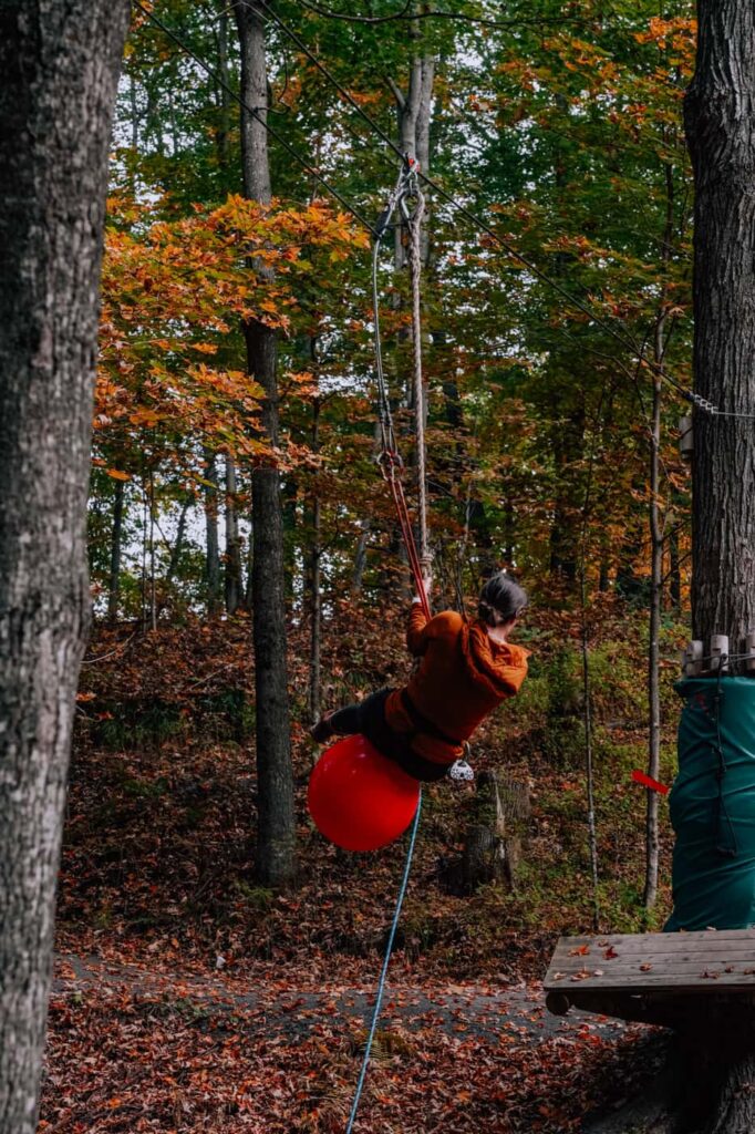 Parcours dans les arbres Extéria durant l'automne